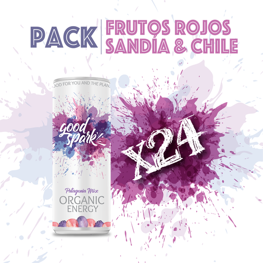 Pack Full 24 #PatagoniaMix